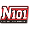 Radio N101 logosu