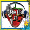 Radio Çilek 74 logosu