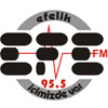 Efe FM logosu