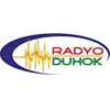 Duhok Radyo logosu