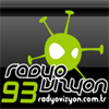Radyo Vizyon logosu