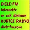 Dicle FM logosu