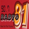 Radyo 81 logosu