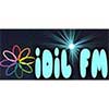 İdil FM logosu