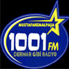 1001 FM logosu