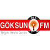 Göksun FM logosu