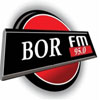 Bor FM logosu